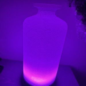 Scentsy Oil diffuser glass cover